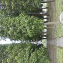 Cmentarz wojskowy Wadowice żołnierze radzieccy pomnik Armii Czerwonej 54